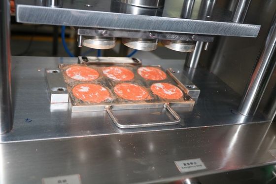 6 Holes Cnc Aluminium Vorms voor de vorm van nat poeder 1 jaar garantie