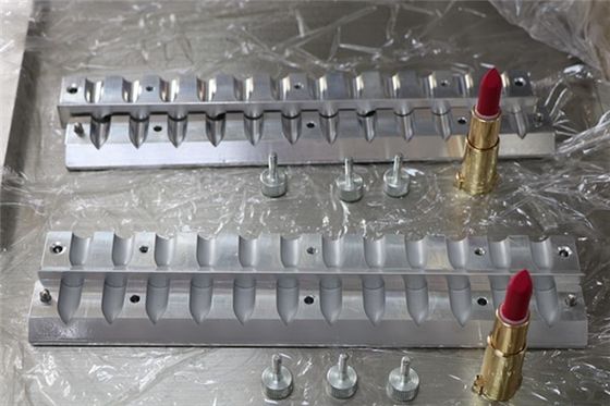 Matte gevriesde vogels bek aangepaste lippenstift schimmel 12 gaten ISO